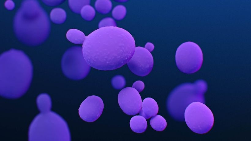Article feature image
