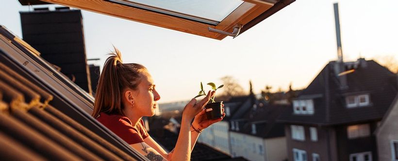 Article feature image