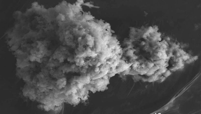Article feature image