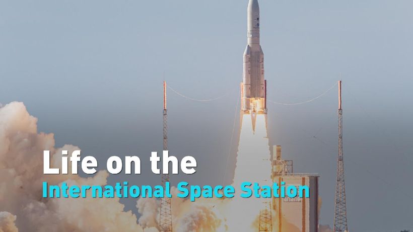 Article feature image