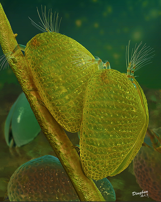 post featured image