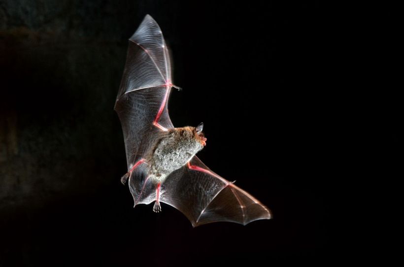 Article feature image