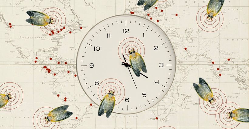 Article feature image