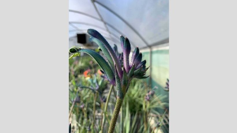 Article feature image