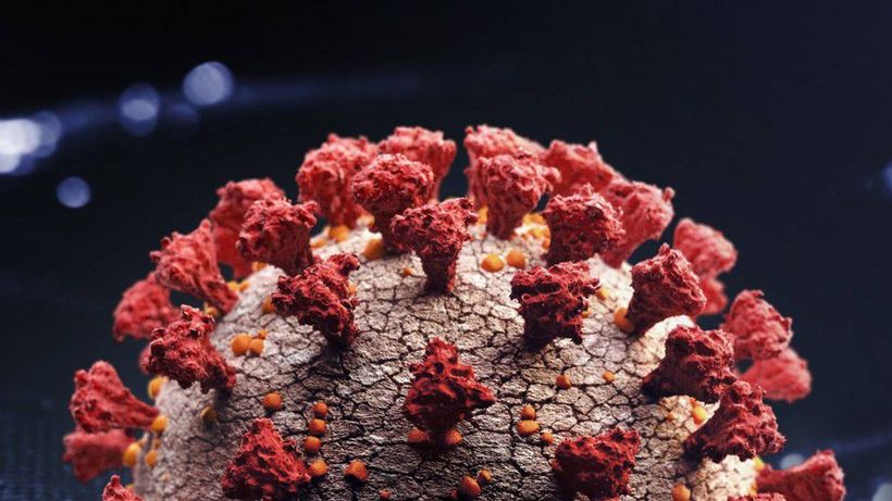 Article feature image
