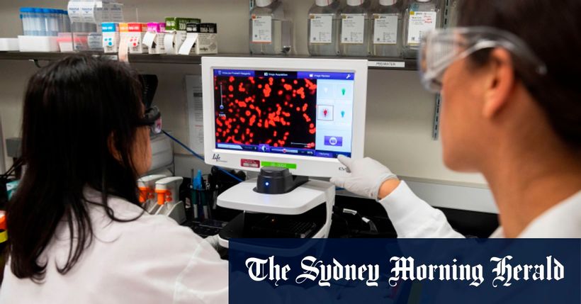 Article feature image