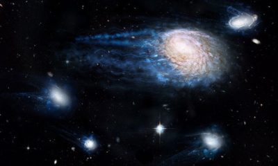 Article feature image