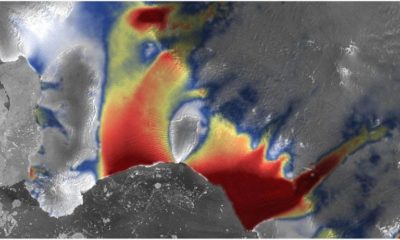 Article feature image