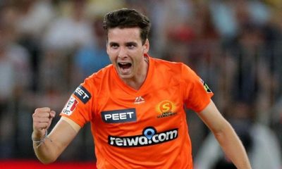 Article feature image