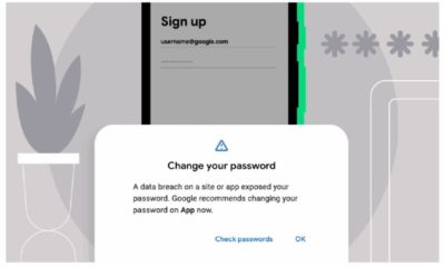 Article feature image