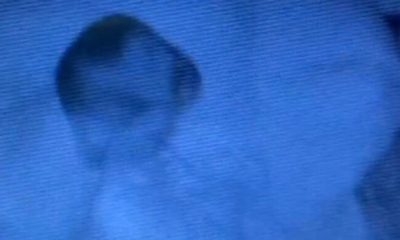 Article feature image