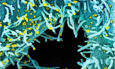 Article feature image