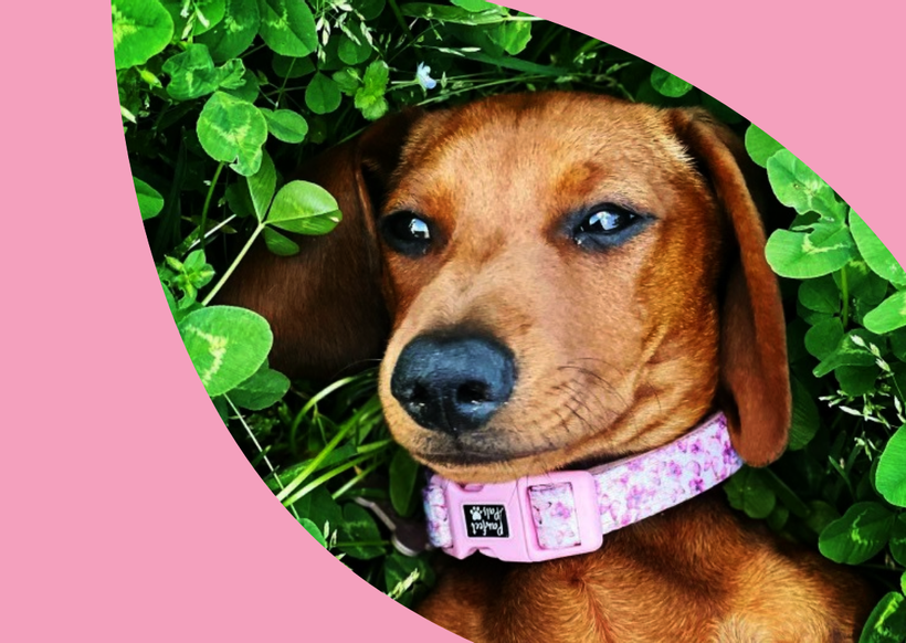 Article feature image