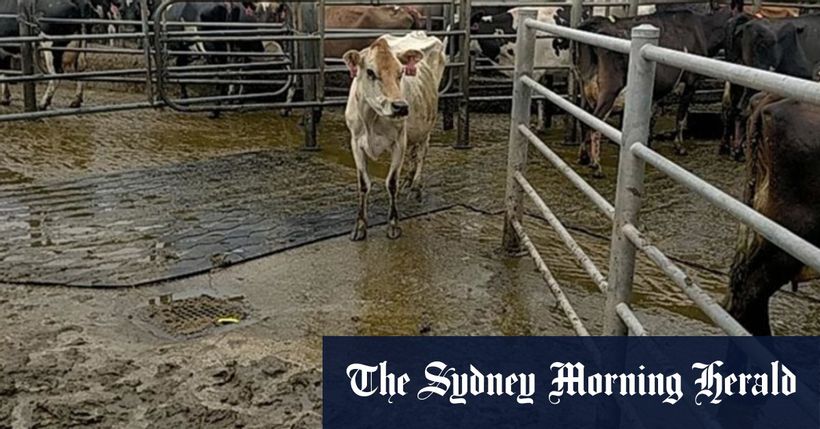 Article feature image