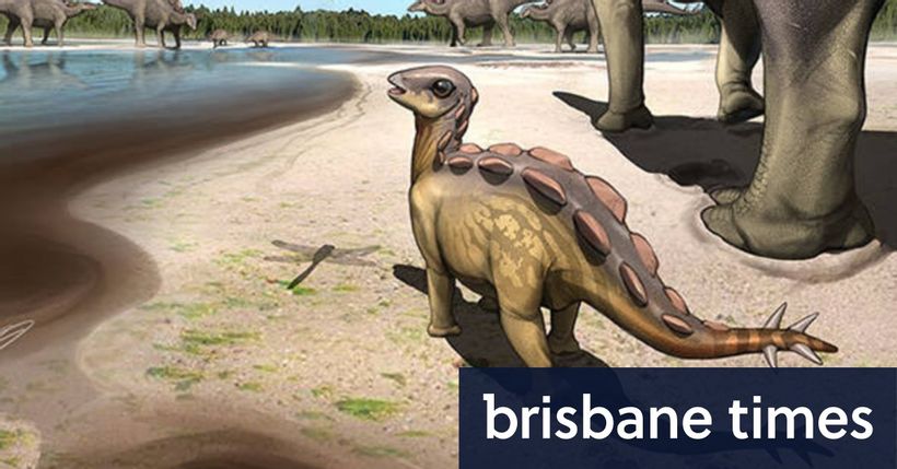 Article feature image
