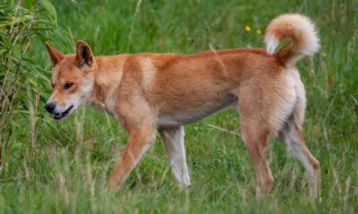 Article feature image