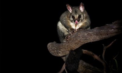 Article feature image