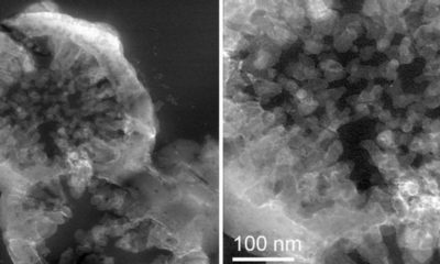 Article feature image