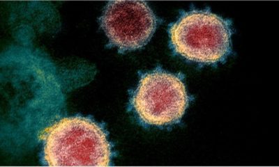 Article feature image