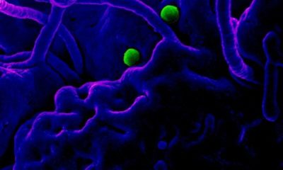 Article feature image