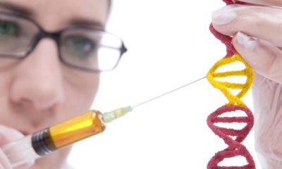 Article feature image