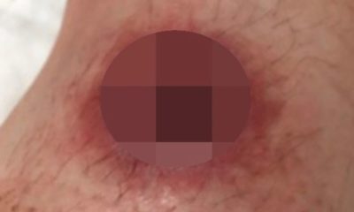 Article feature image