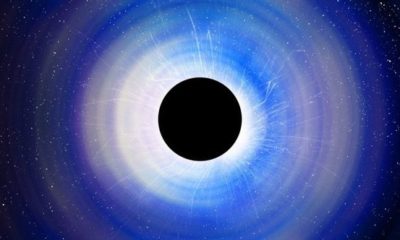 Article feature image