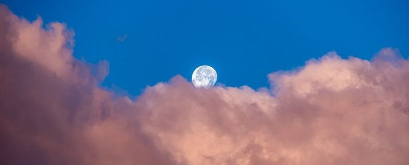Article feature image