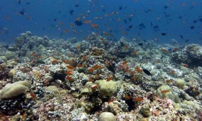 Article feature image