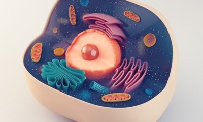 Article feature image