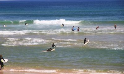 Article feature image