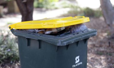 Article feature image