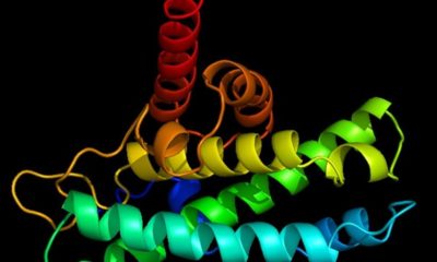 Article feature image