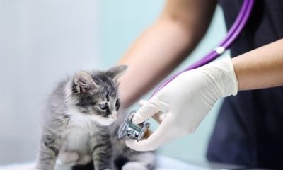 Article feature image