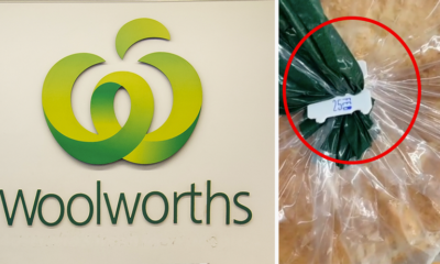 Article feature image