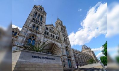 Article feature image