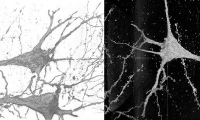 Article feature image