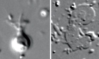 Article feature image