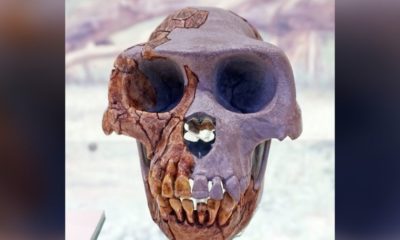 Article feature image