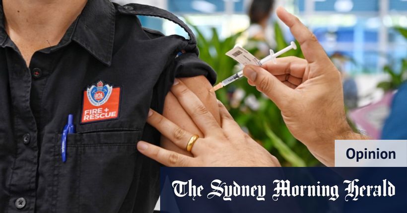 Article feature image