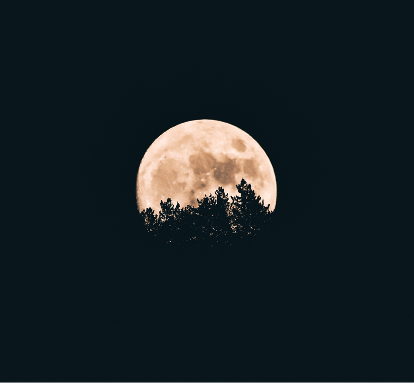 Article feature image
