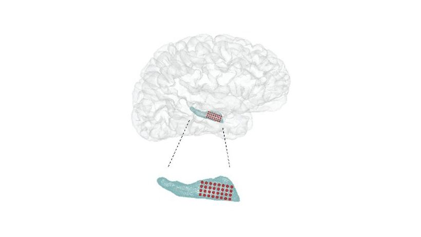 Article feature image