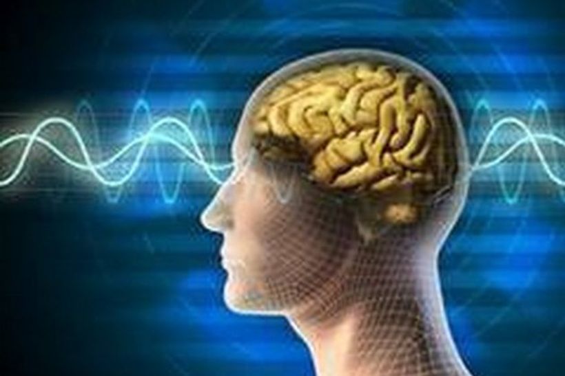 Article feature image
