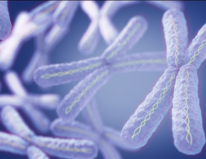 Article feature image