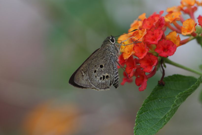 Article feature image