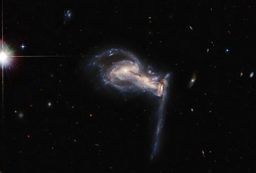 Article feature image