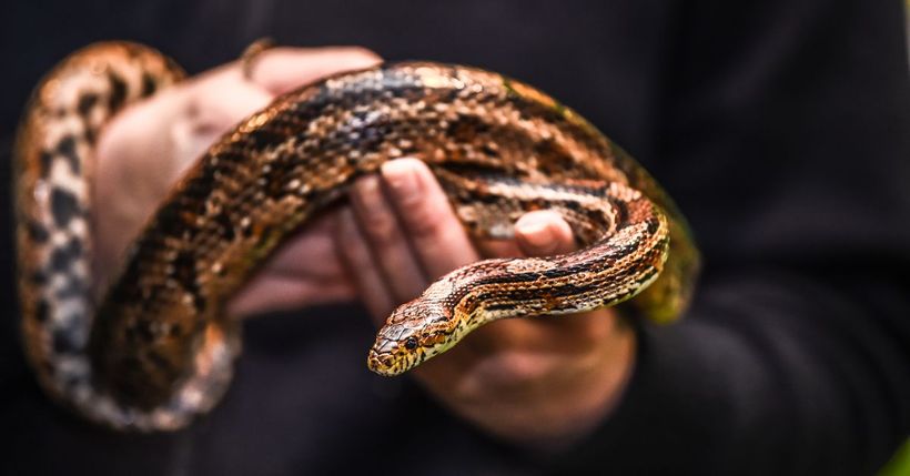 Article feature image