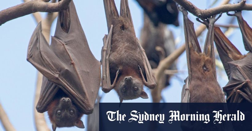 Article feature image