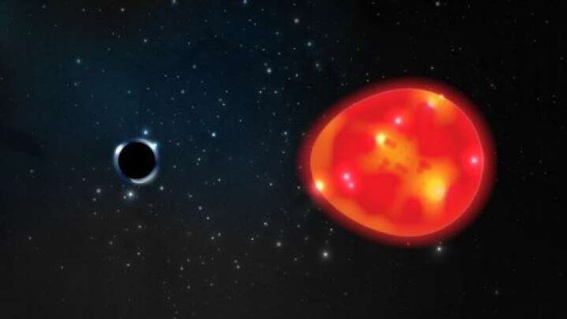Article feature image