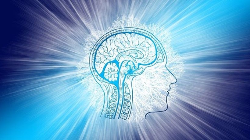 Article feature image